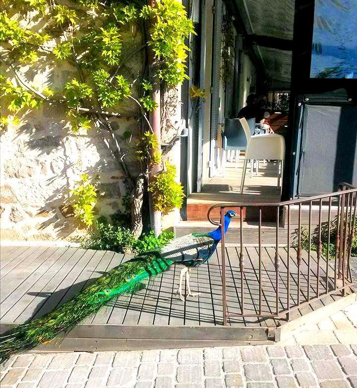 סן טרופז Hotel B Lodge מראה חיצוני תמונה